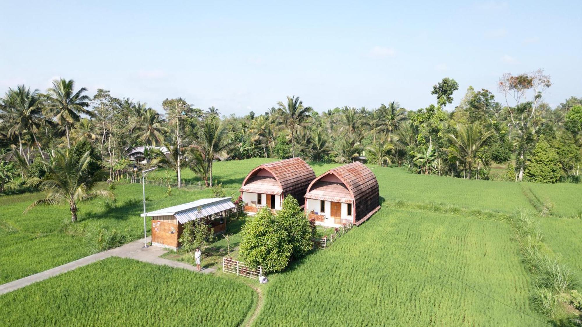 Villa Bale Tetebatu Exterior foto