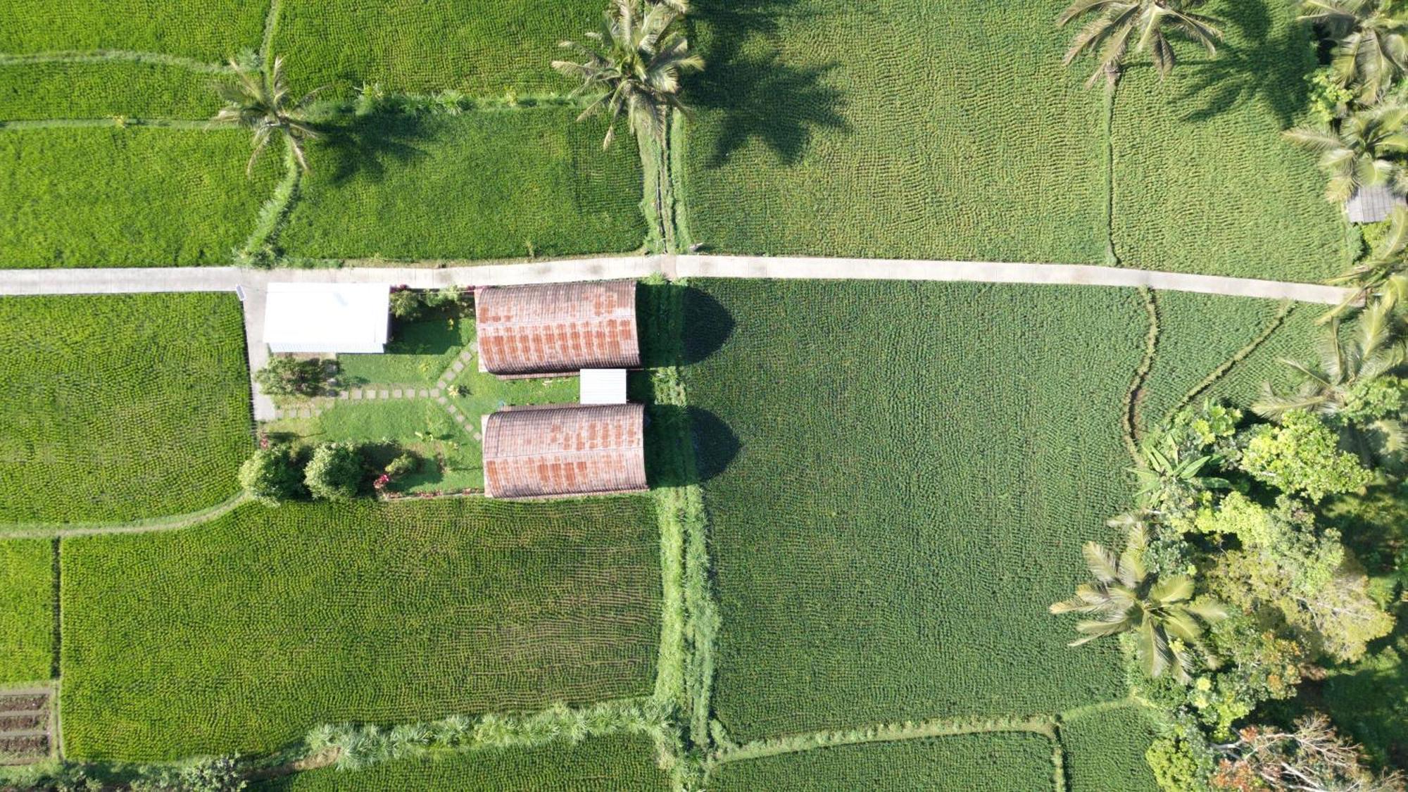Villa Bale Tetebatu Exterior foto