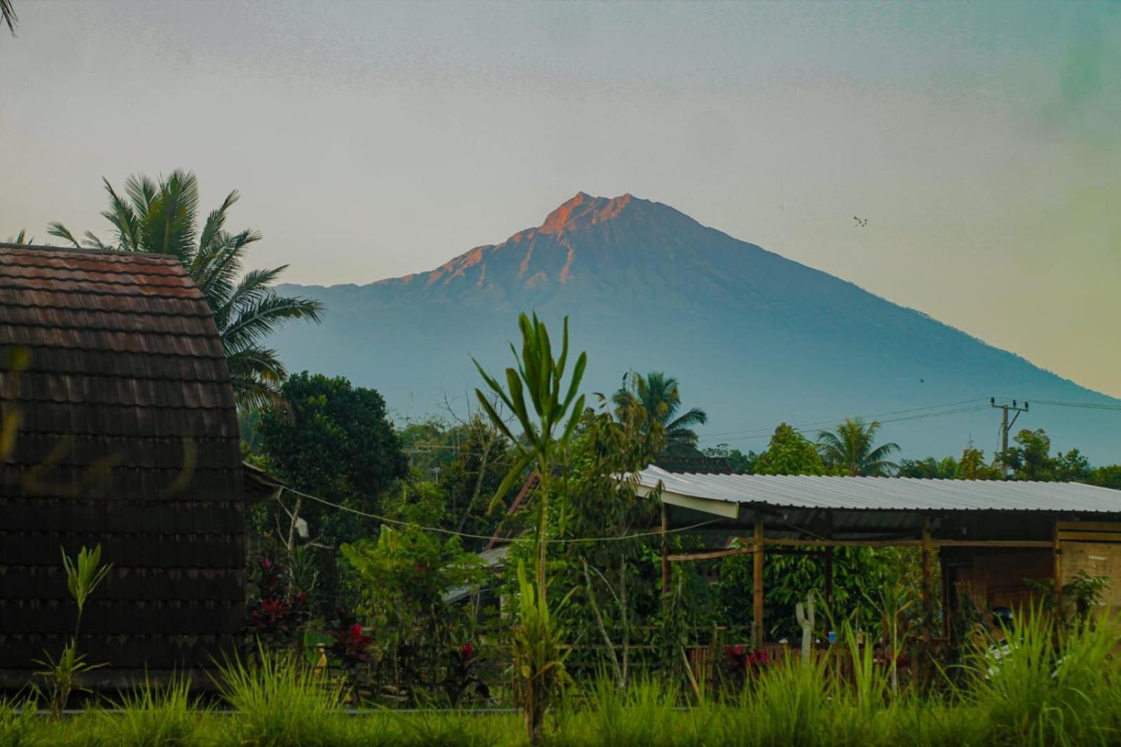 Villa Bale Tetebatu Exterior foto