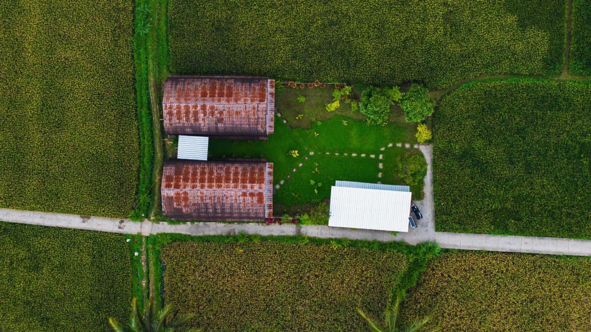 Villa Bale Tetebatu Exterior foto